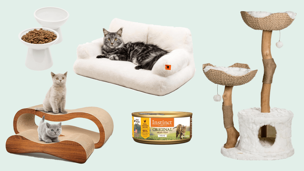 Cat Buying Guide: Best Amazon Picks for New Cat&nbsp;Parents