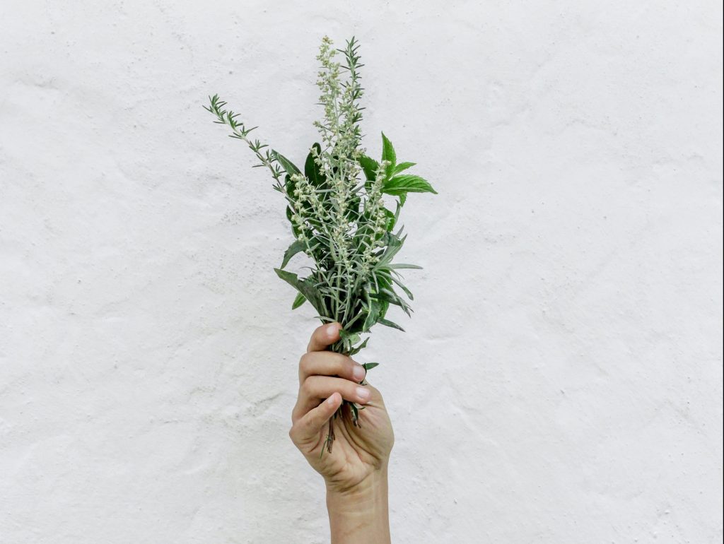 From Ghee to Ashwagandha: Ayurveda’s Rasayana for&nbsp;Rejuvenation