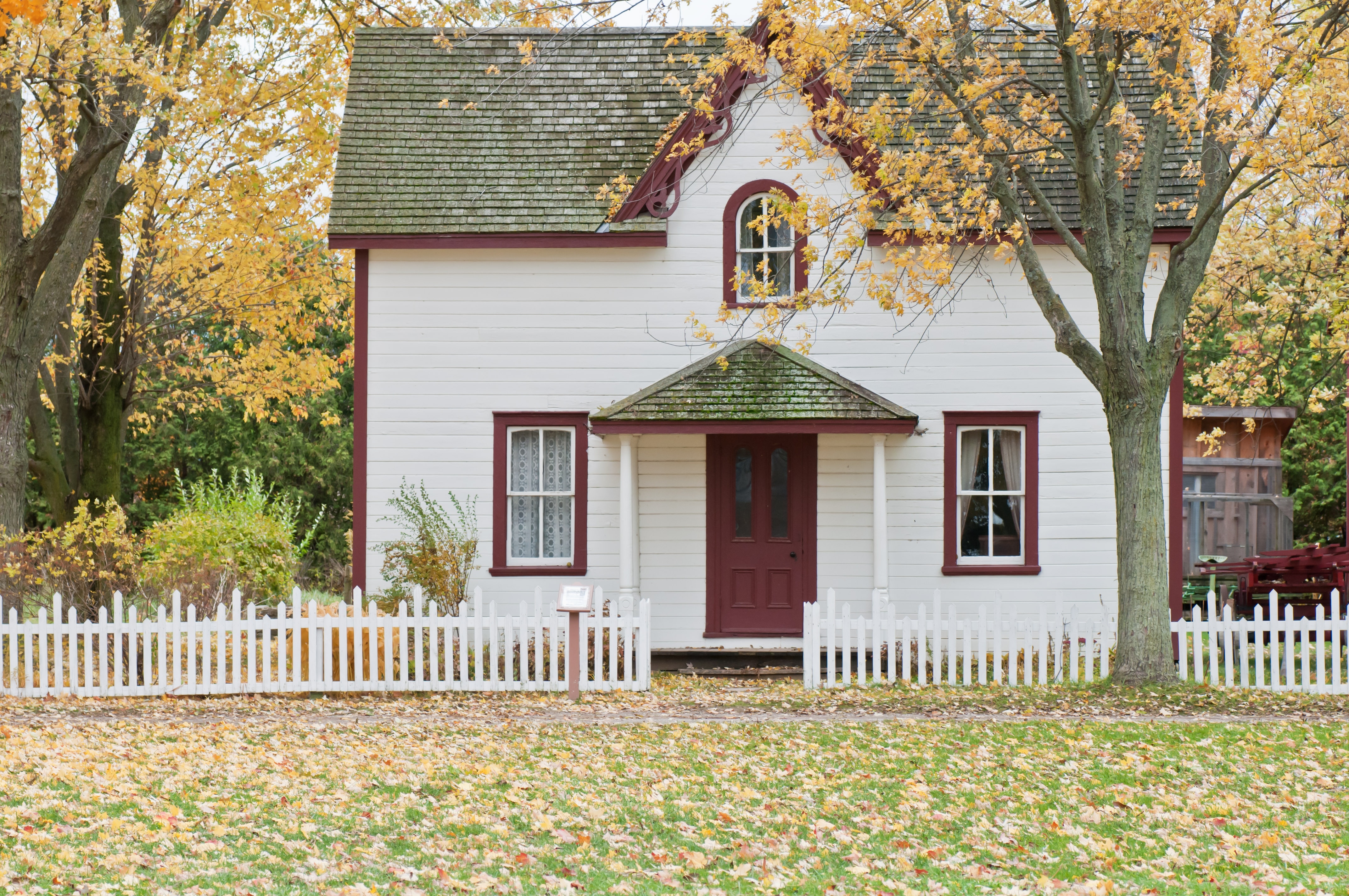 Preparing Your Yard for Winter: Fall Maintenance Guide
