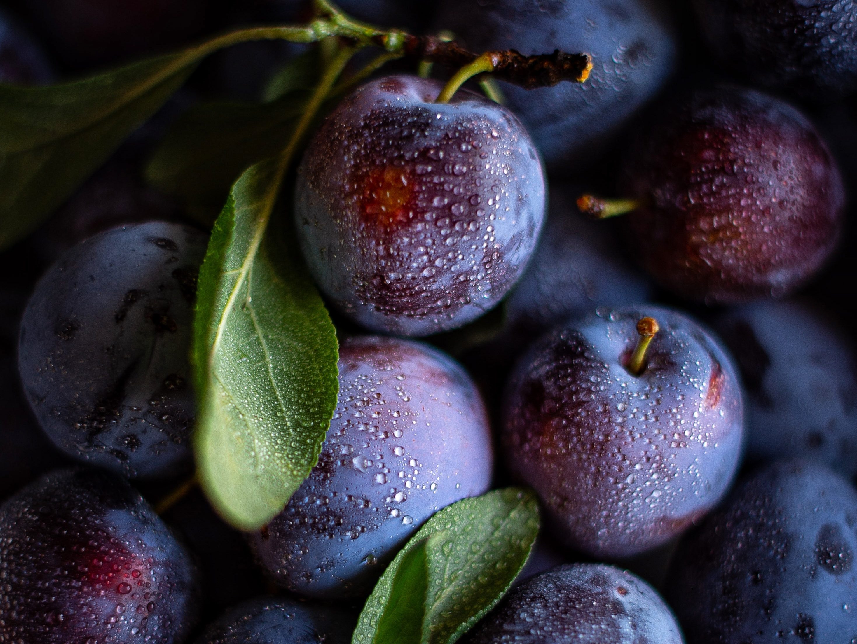 The Vinegar Advantage: Taking Produce Cleaning Up a Notch