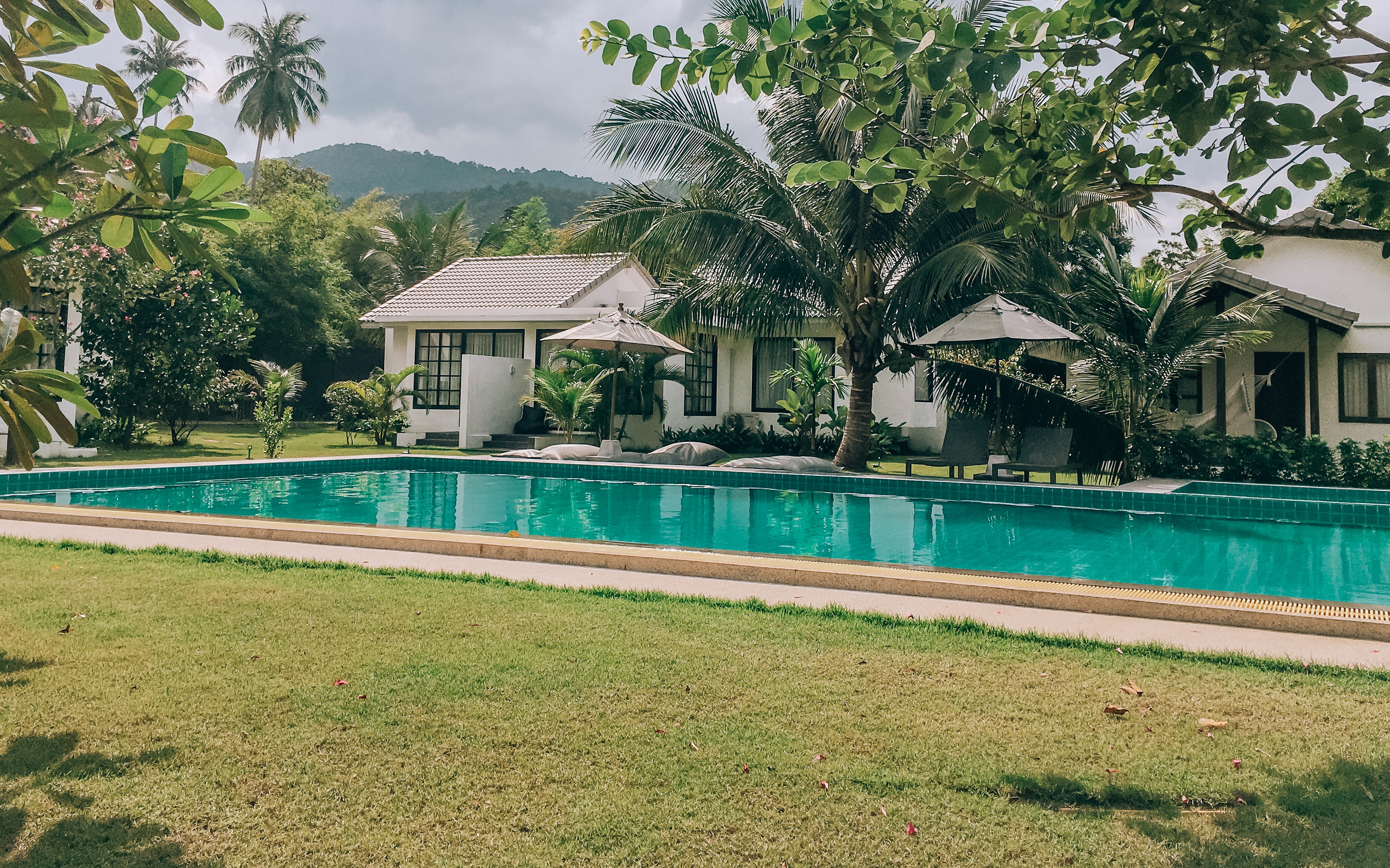 Tackling Weeds in Your Lawn: Effective Strategies for Summertime Weed Control